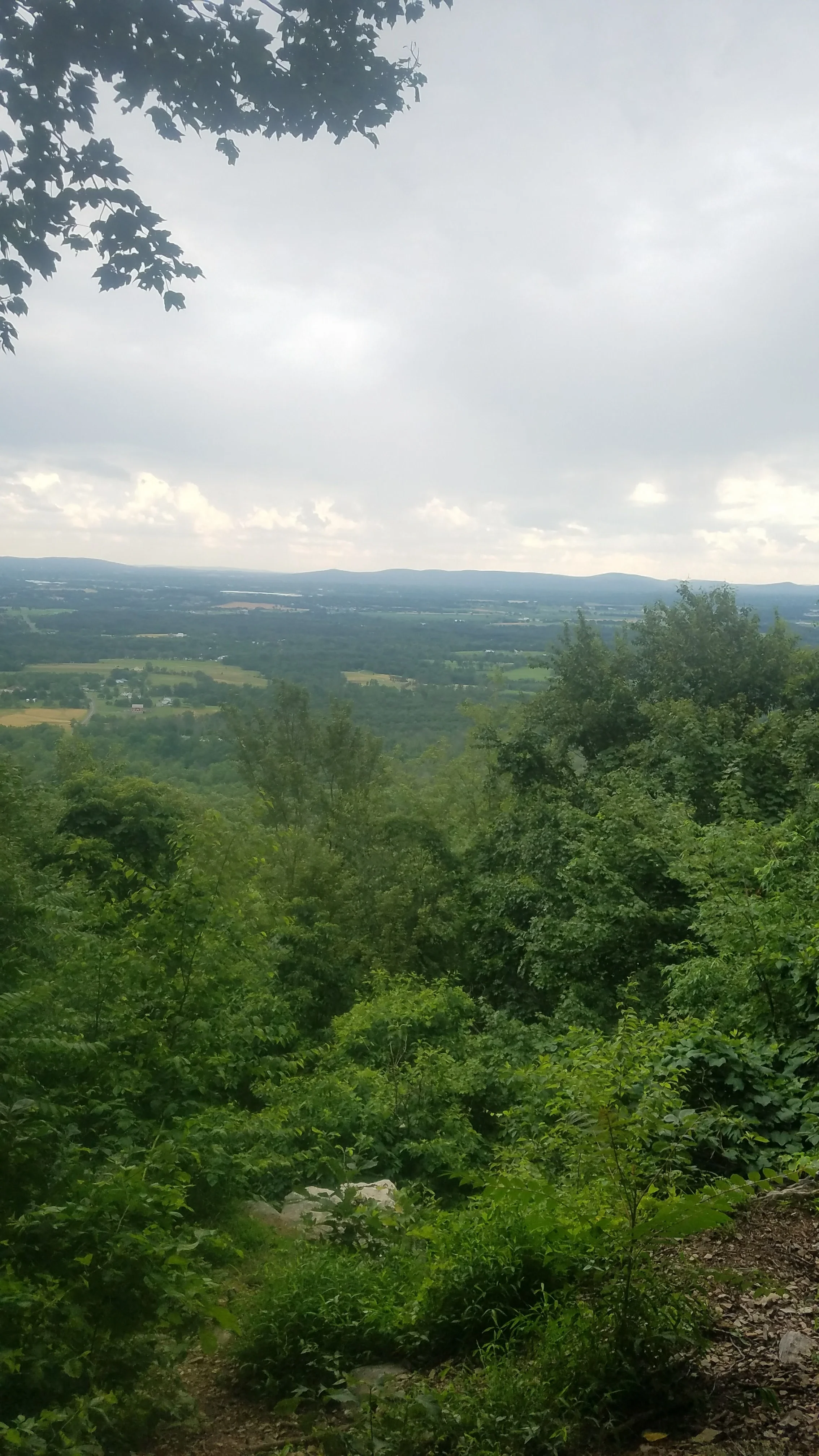 20170708_173619.jpg