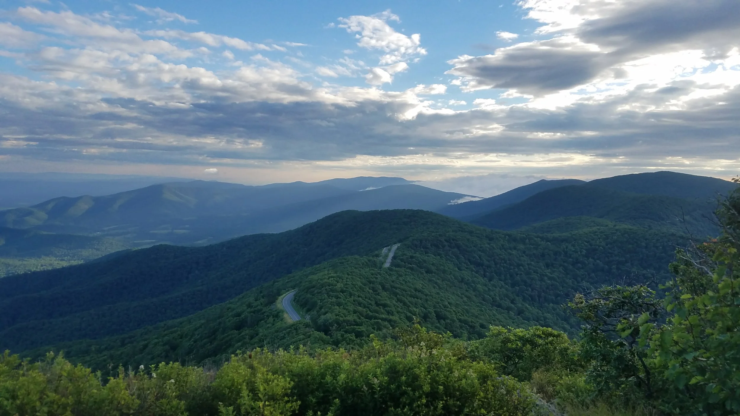 20170701_071256.jpg