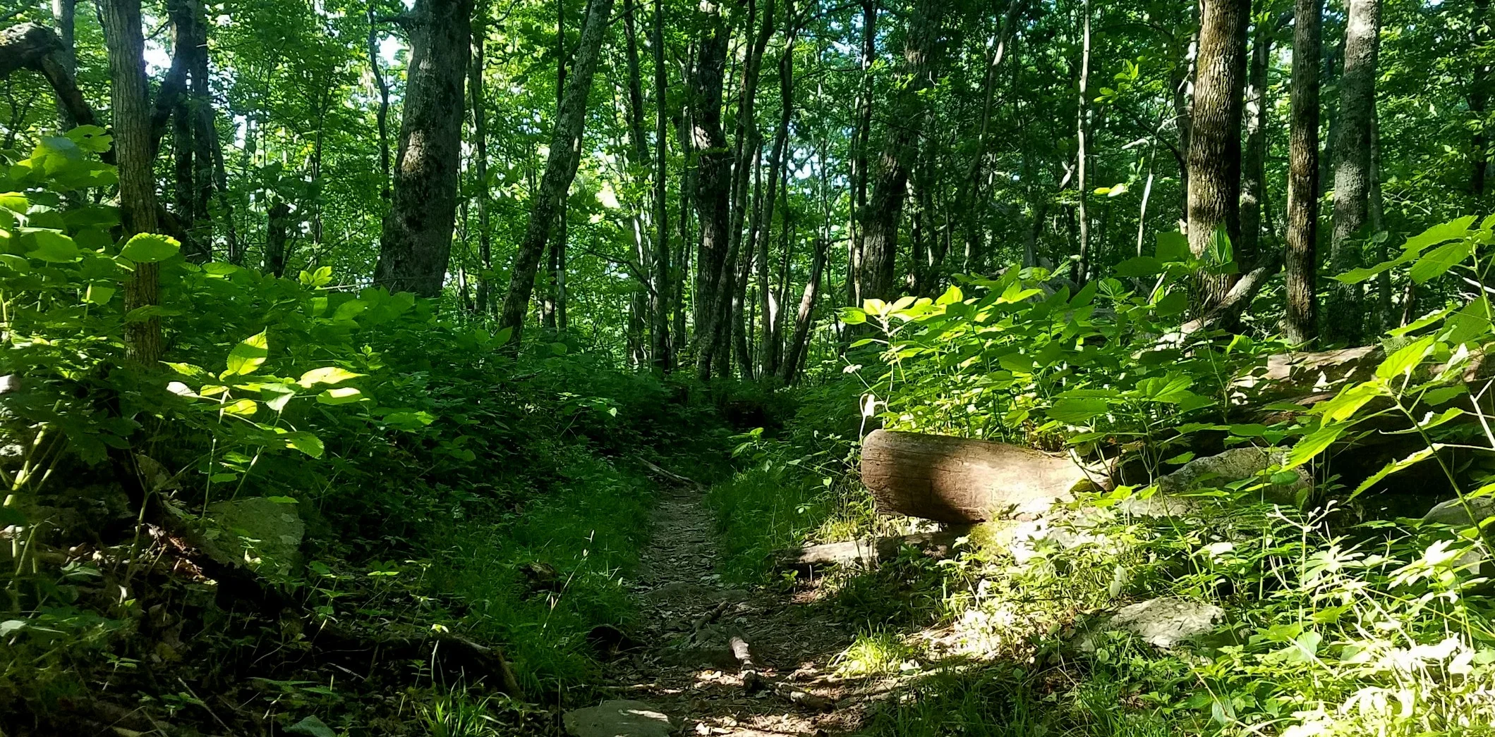 20170630_082534.jpg