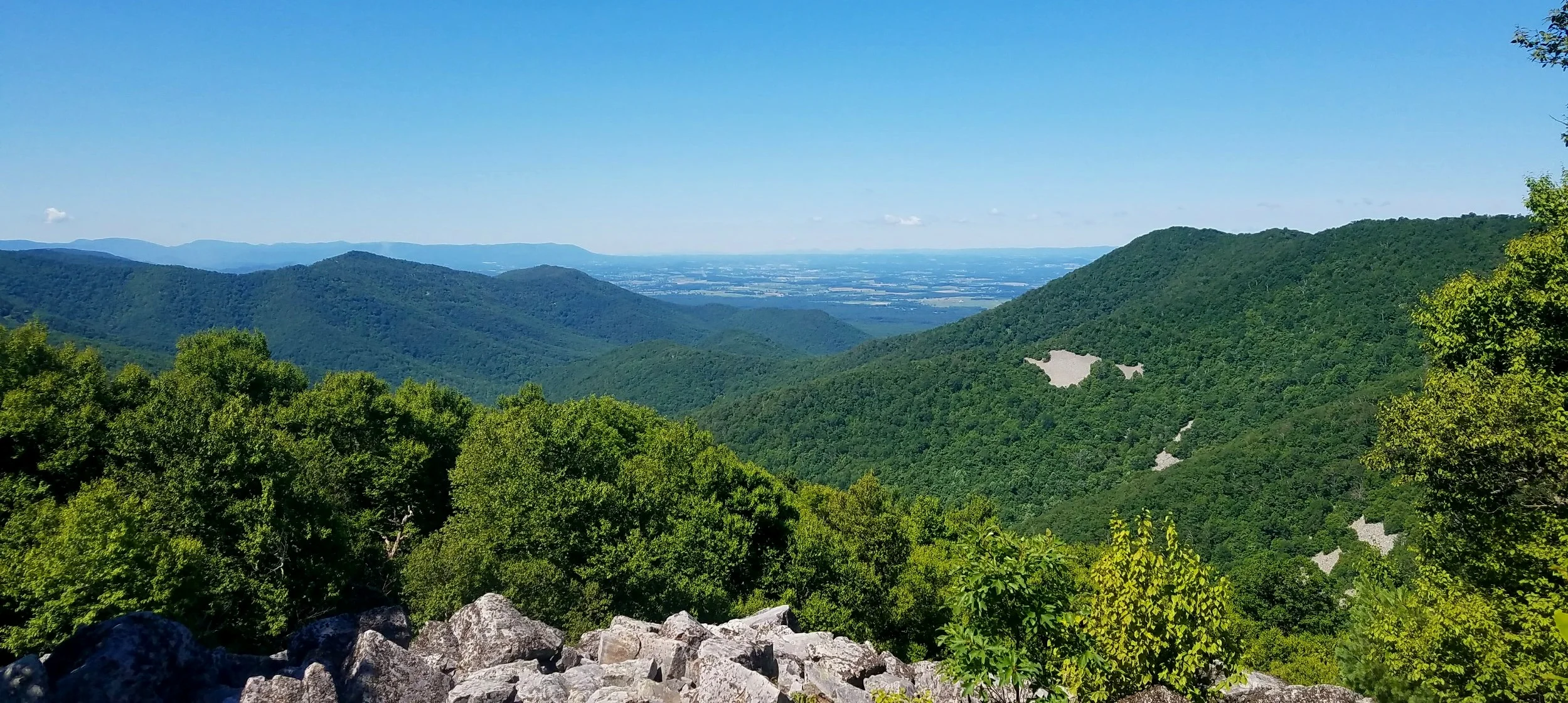 20170628_103435.jpg
