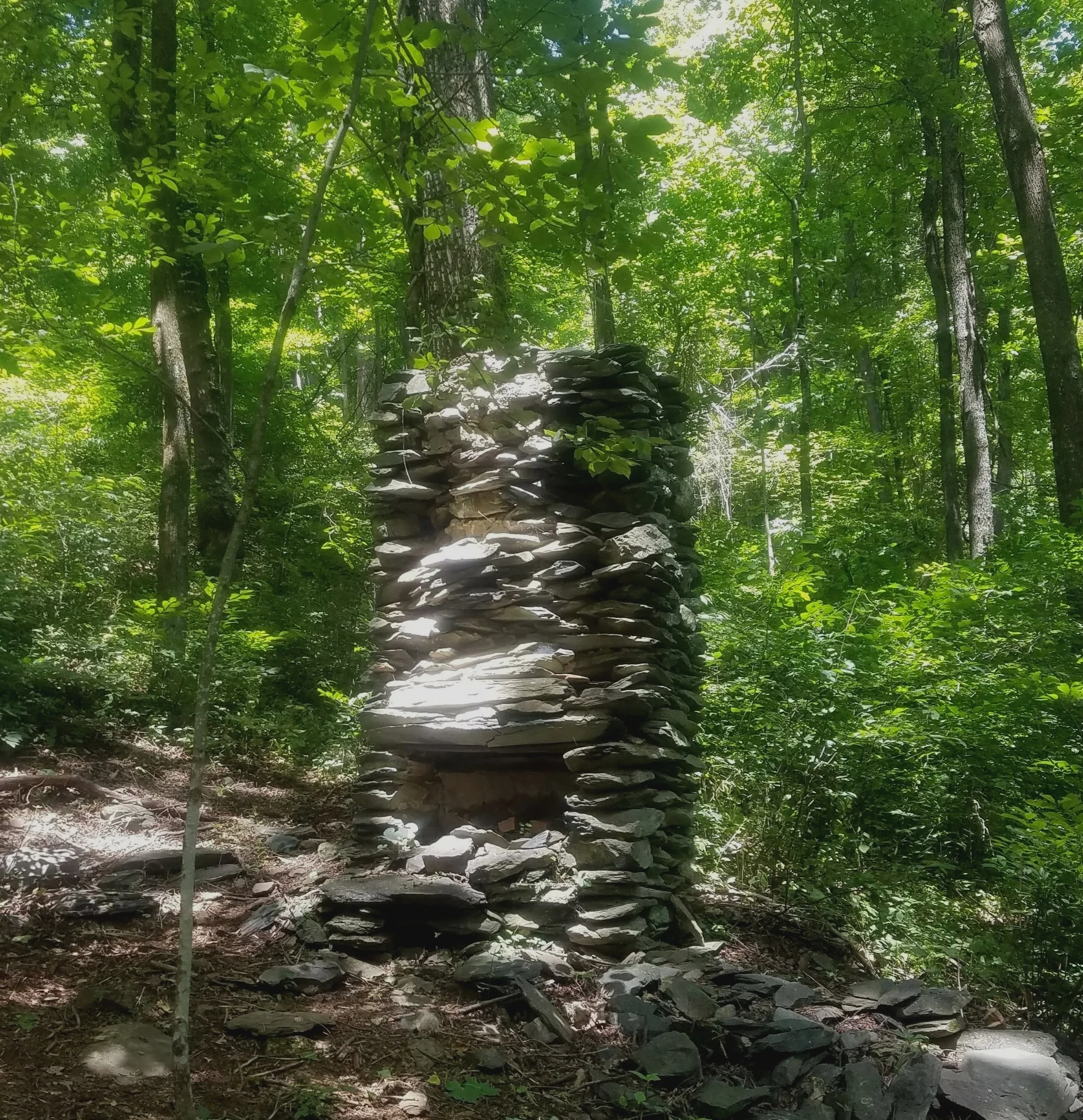 20170626_130426.jpg