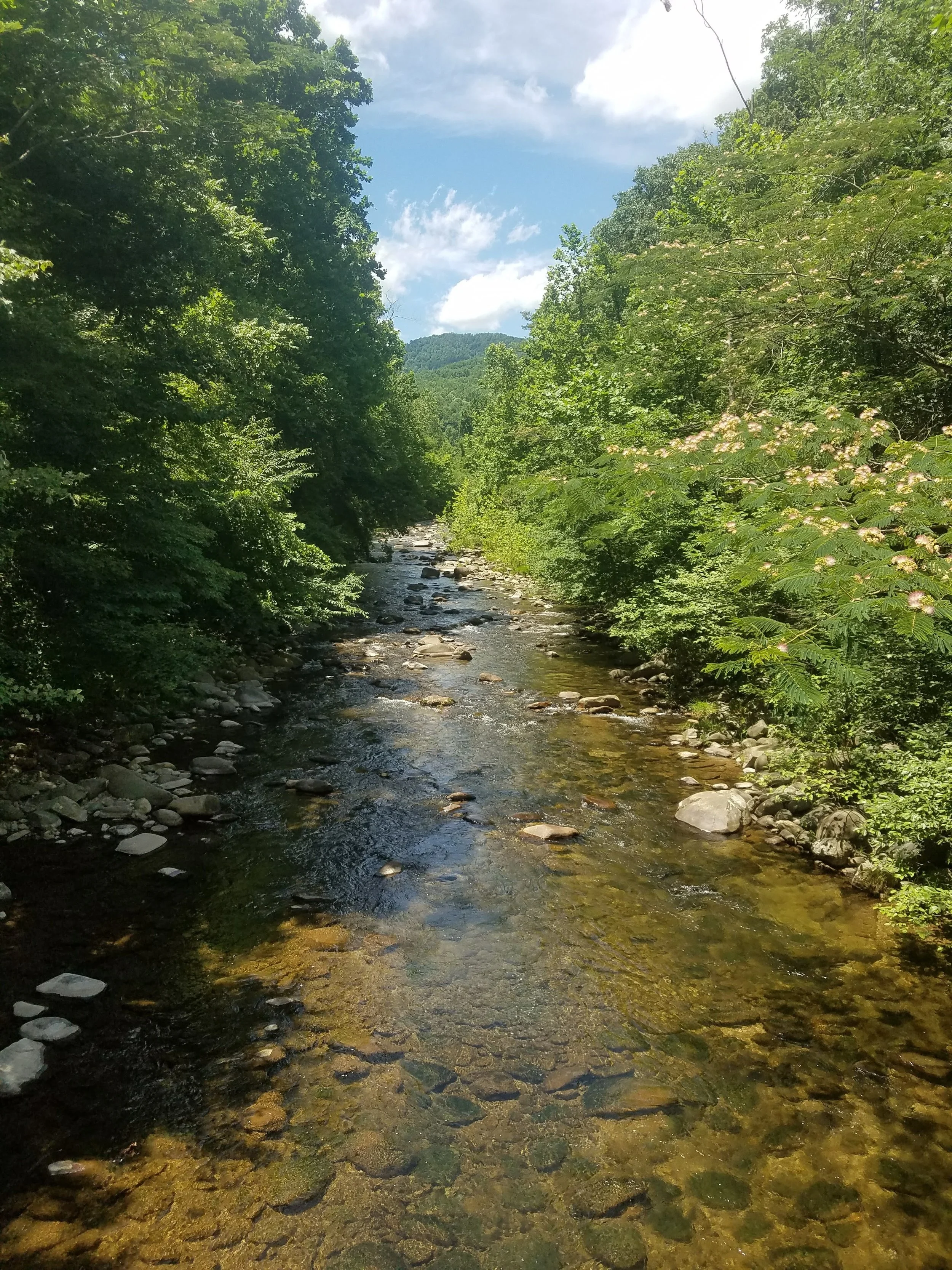 20170625_141926.jpg