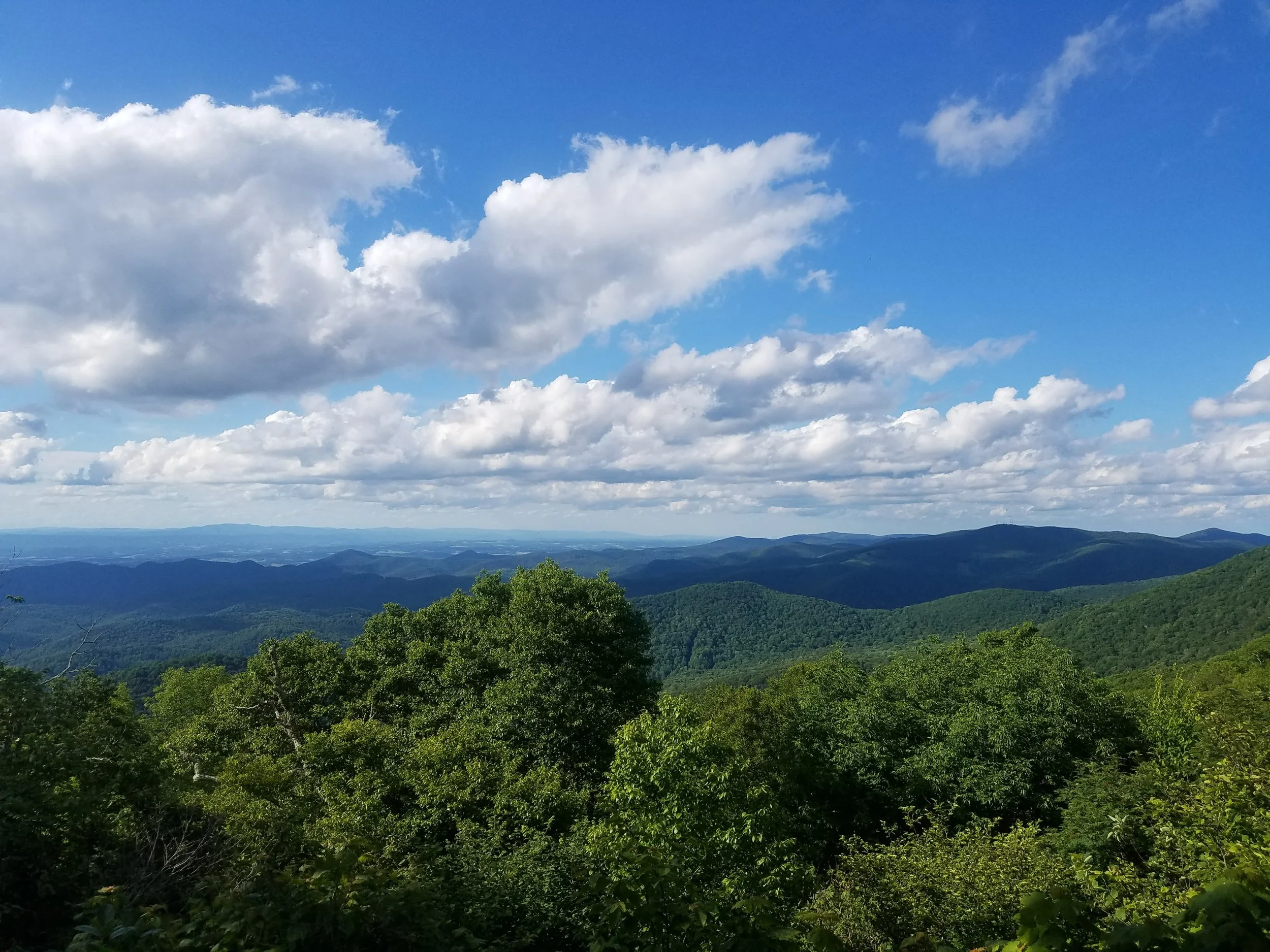 20170624_175501.jpg
