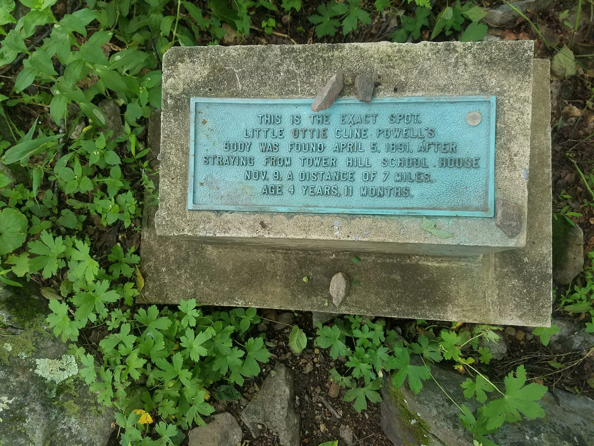 20170624_100659.jpg
