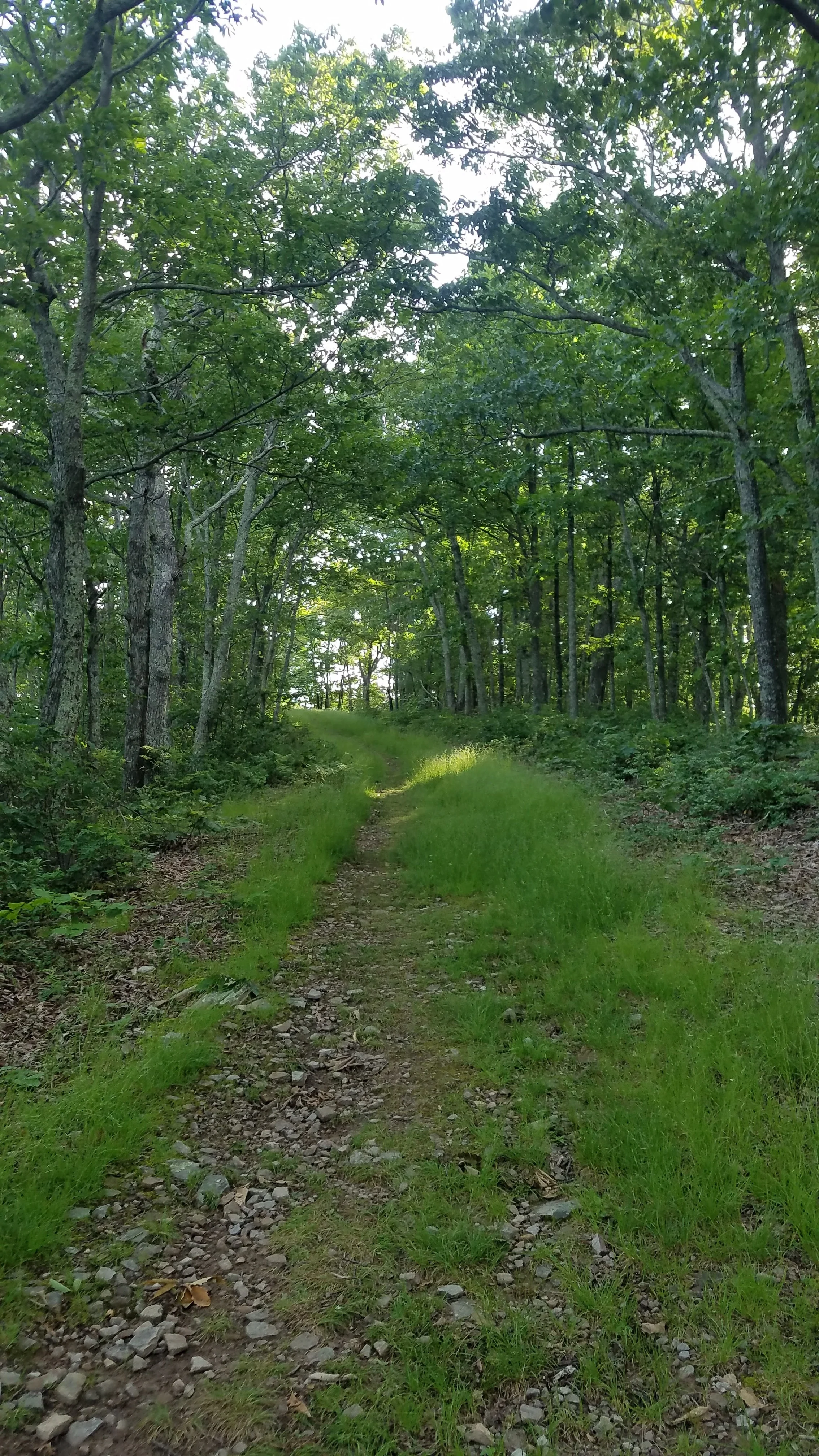 20170620_080843.jpg