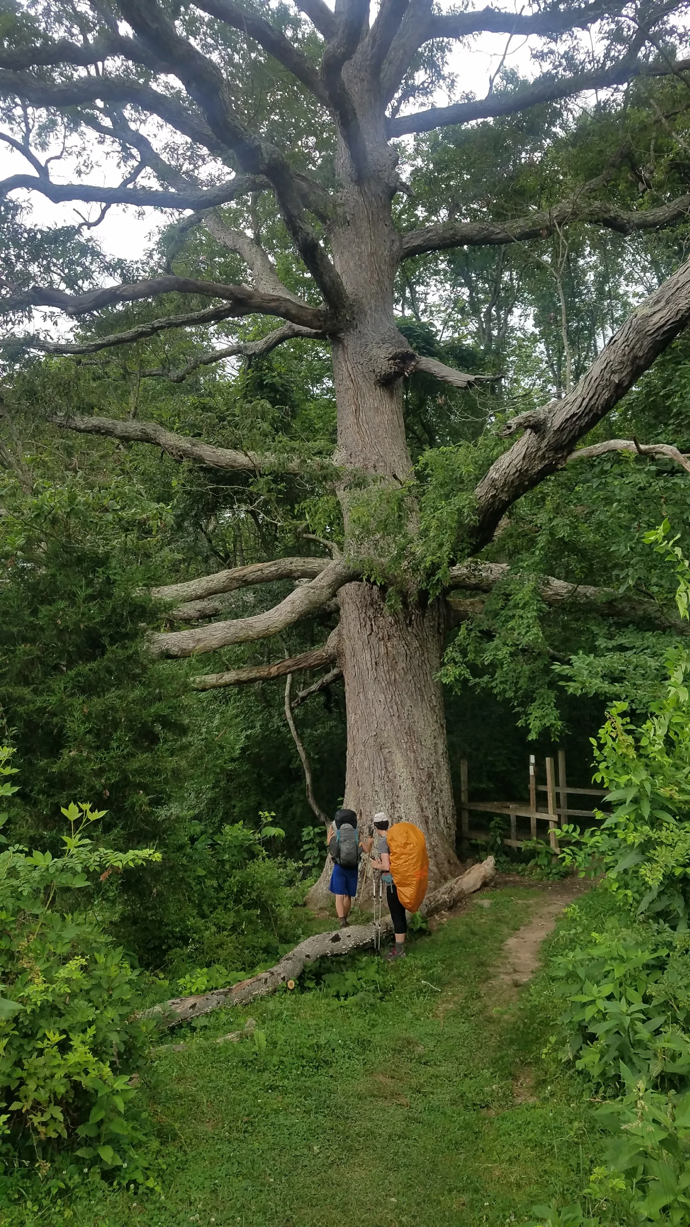 20170619_154231.jpg
