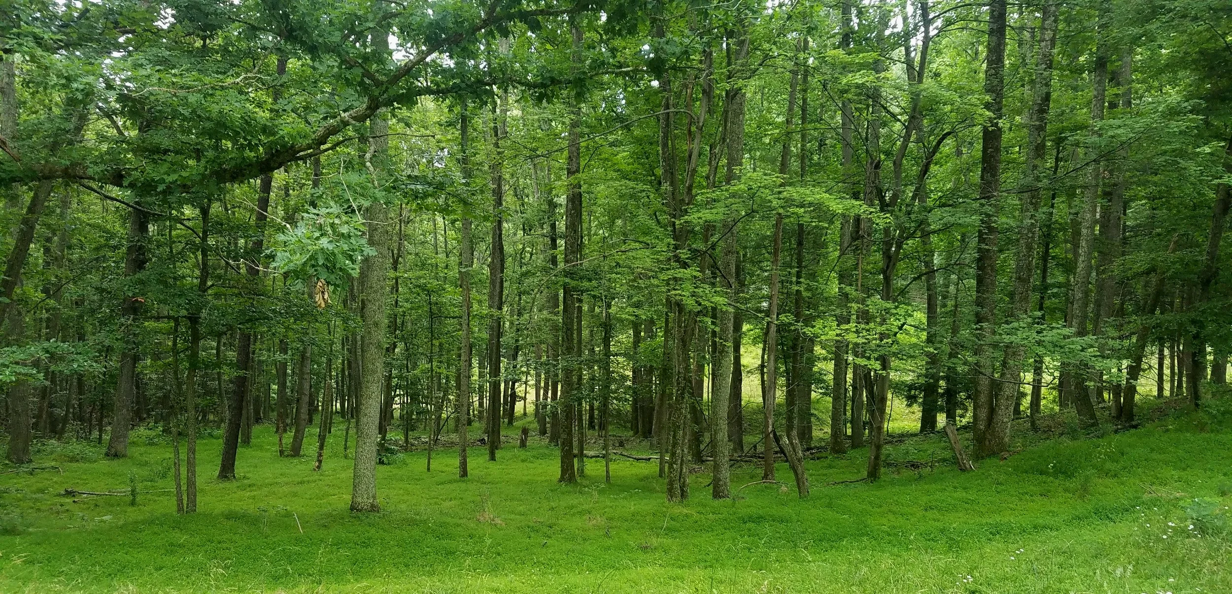 20170618_082734.jpg