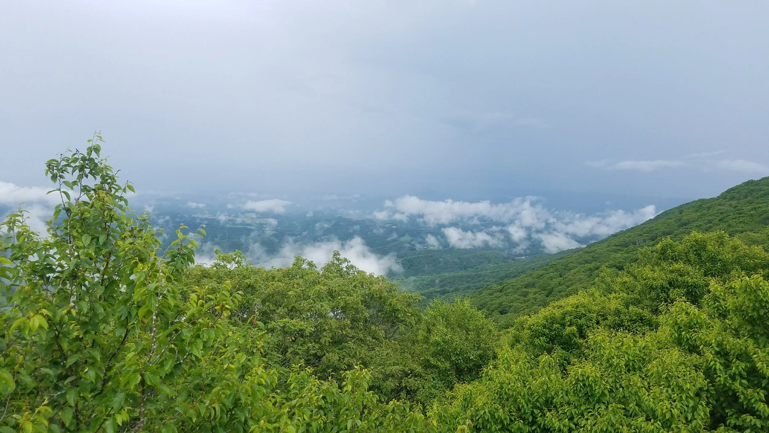 20170616_145537.jpg