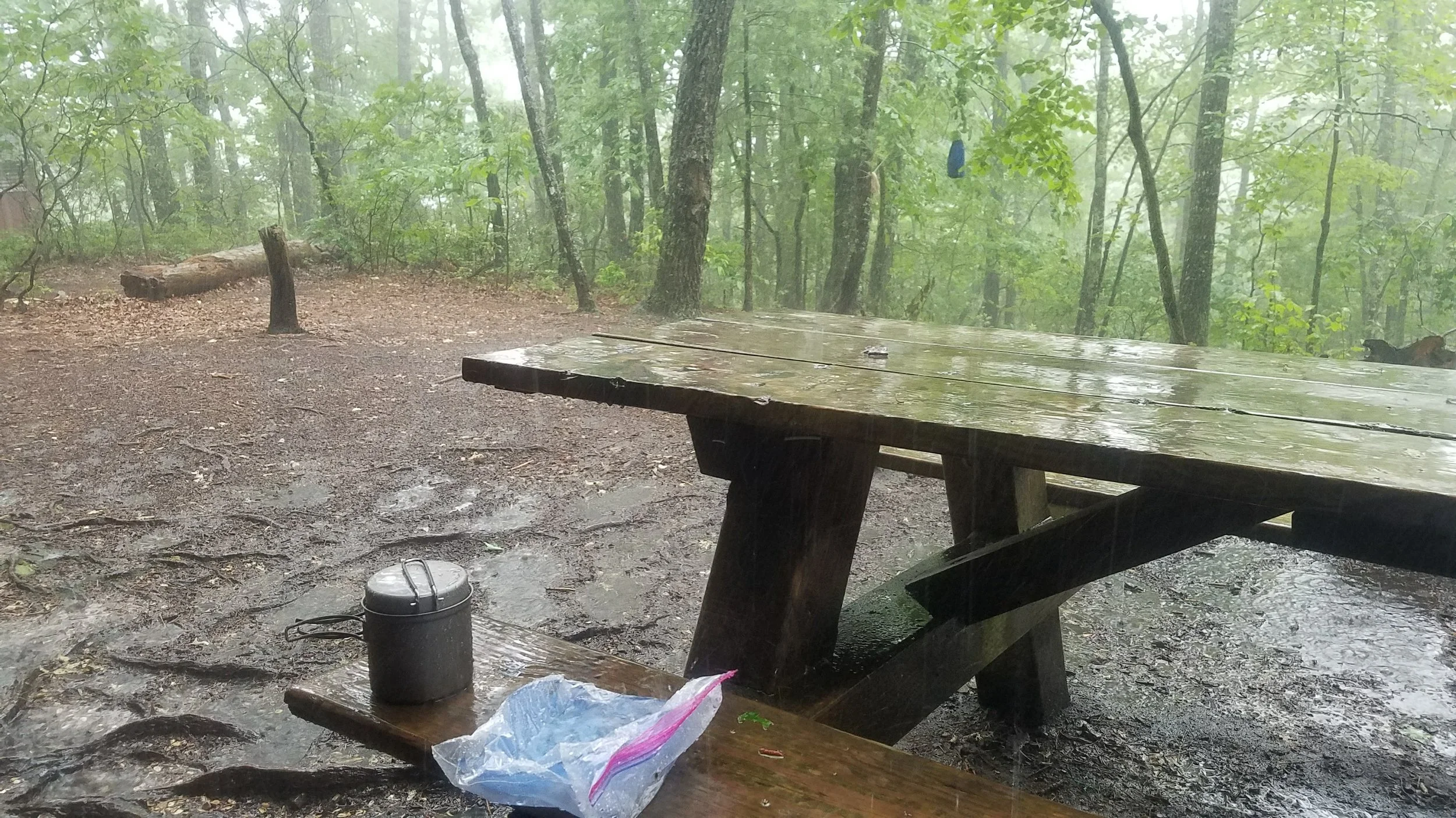 20170615_184553.jpg
