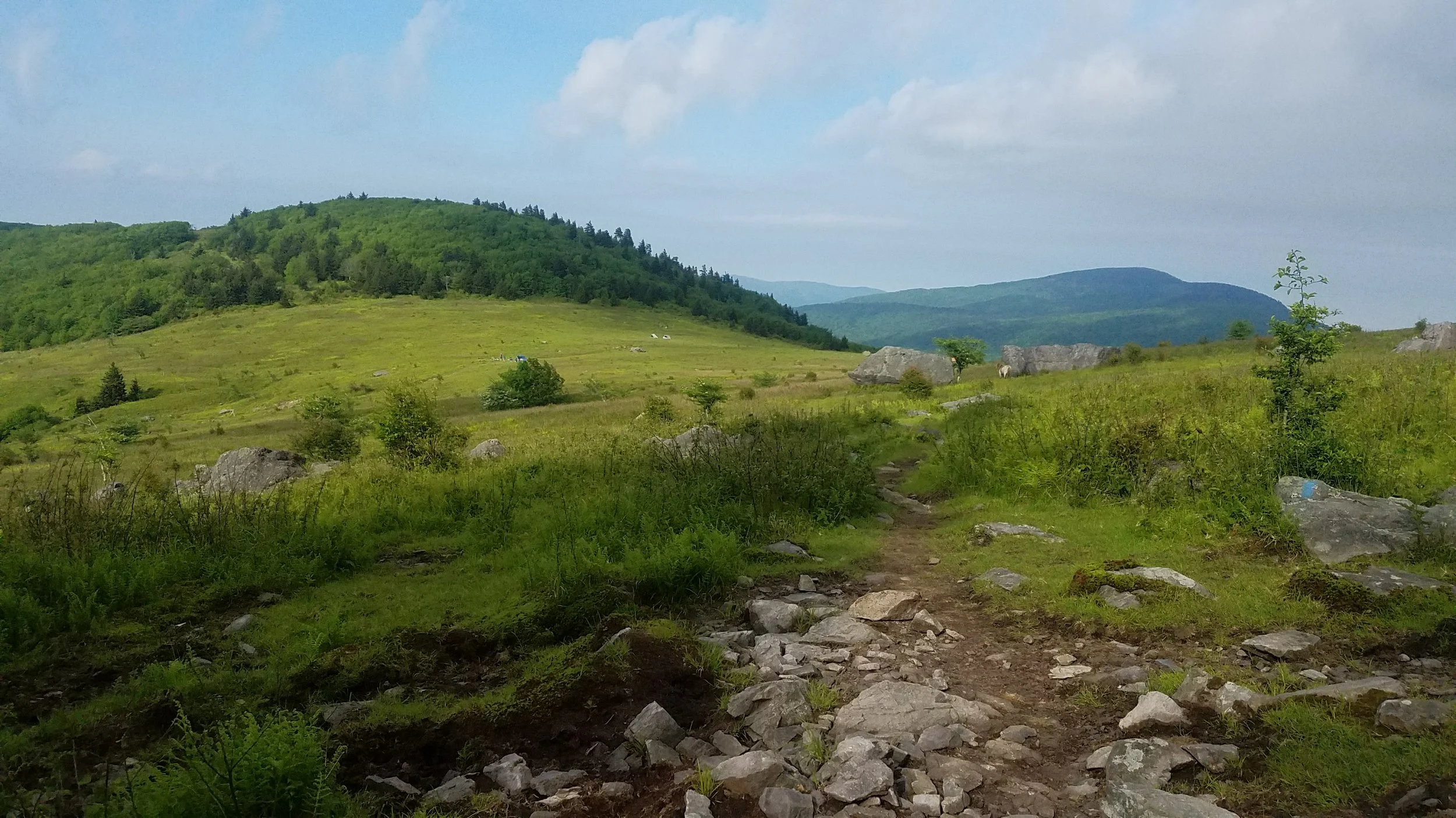 20170611_084511.jpg