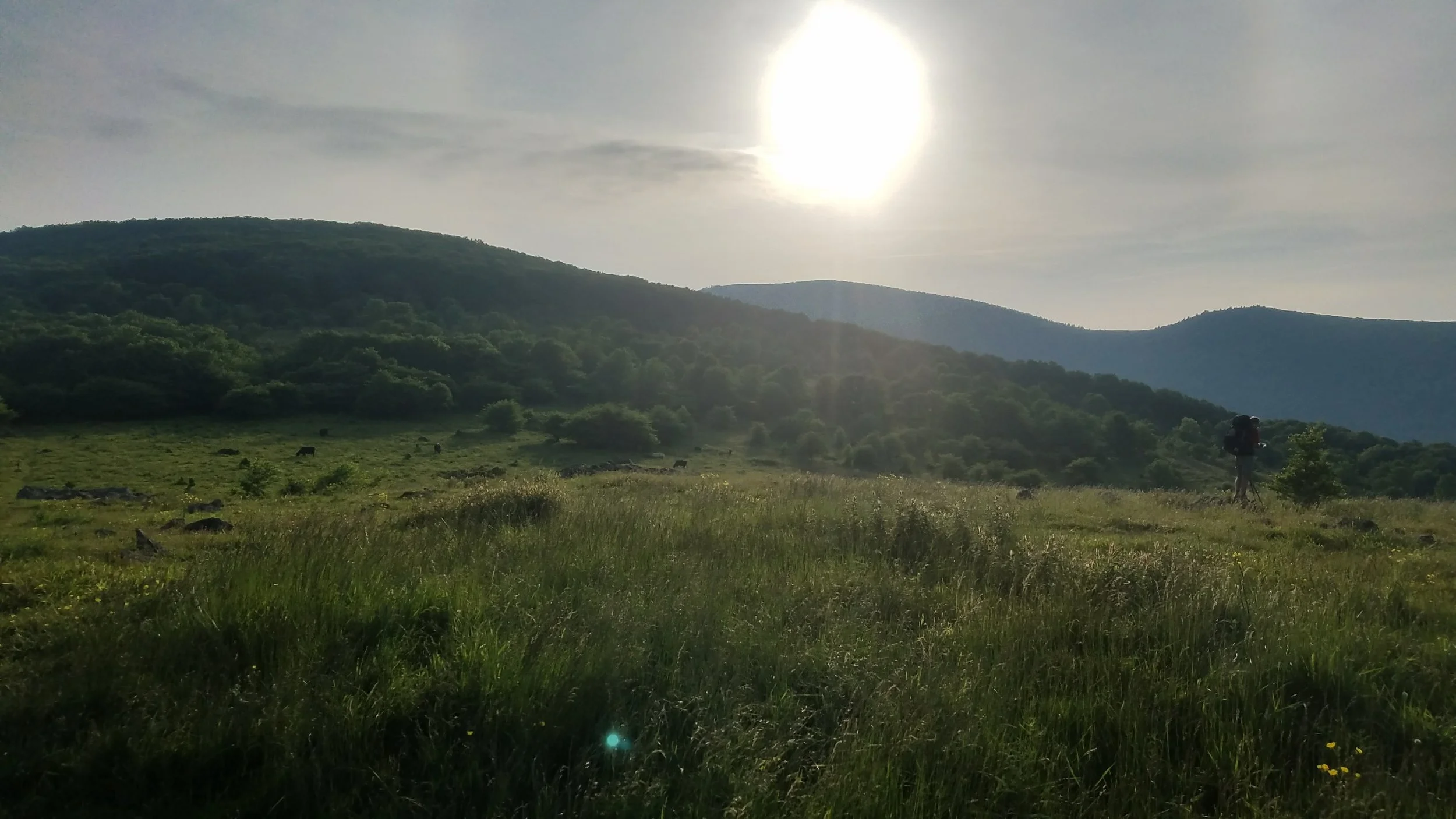 20170611_073144.jpg