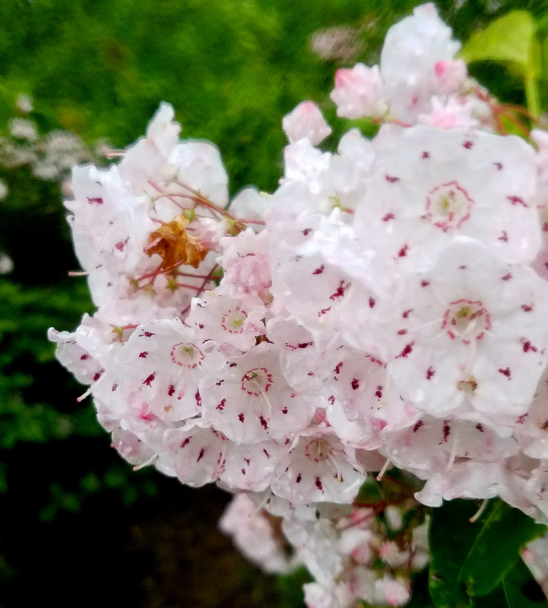20170604_160641.jpg