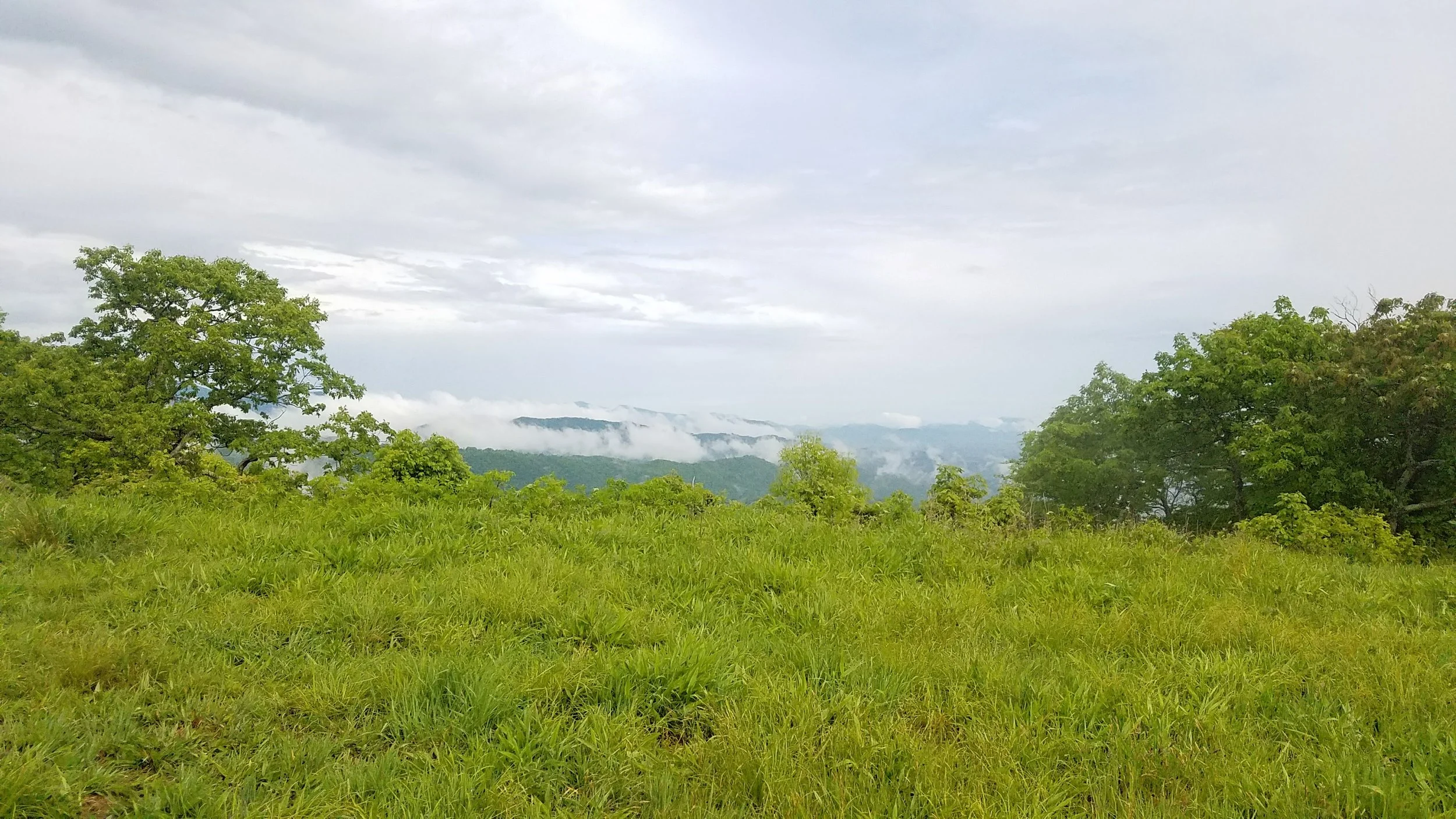 20170604_165718.jpg