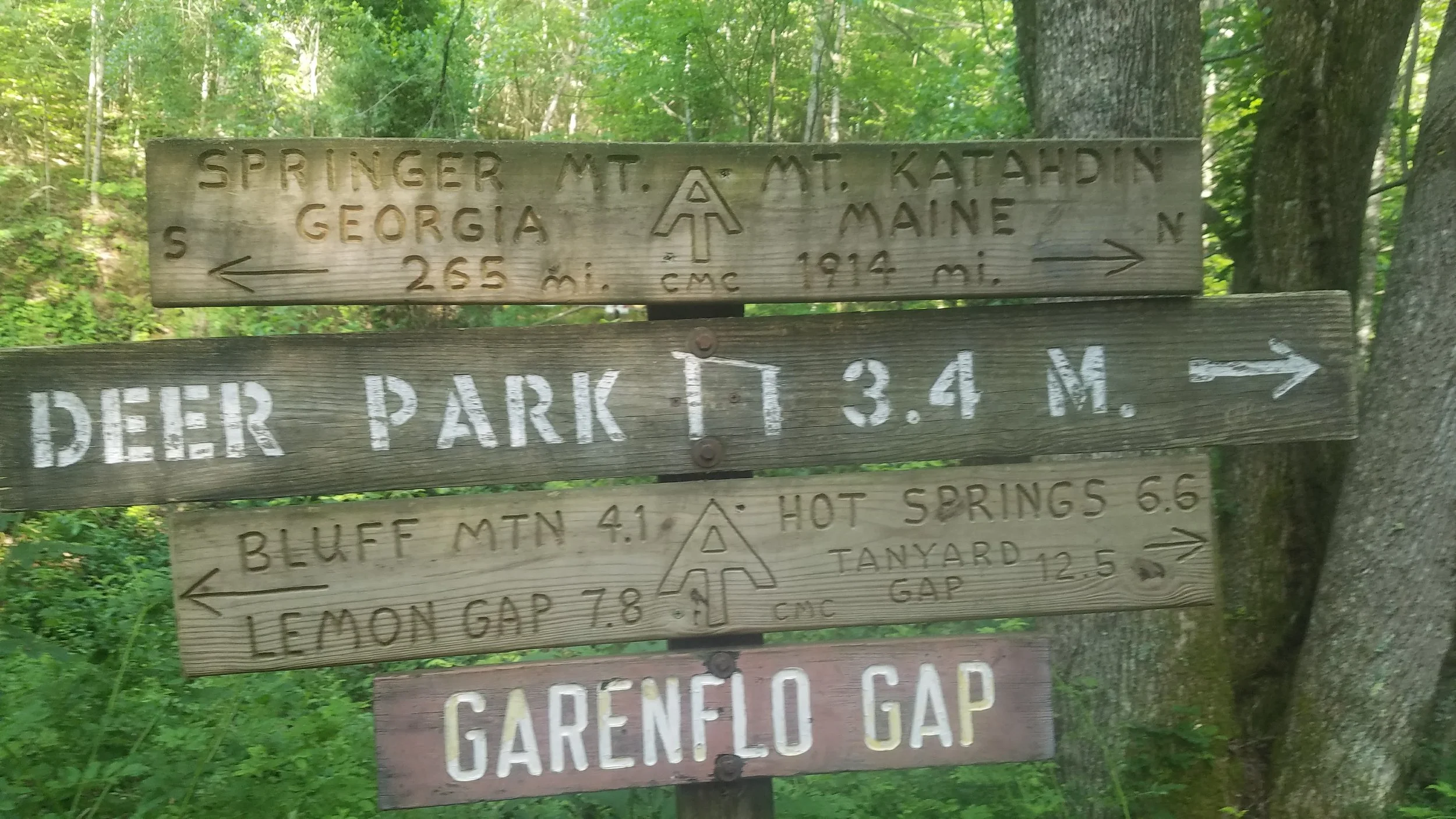 20170601_083608.jpg