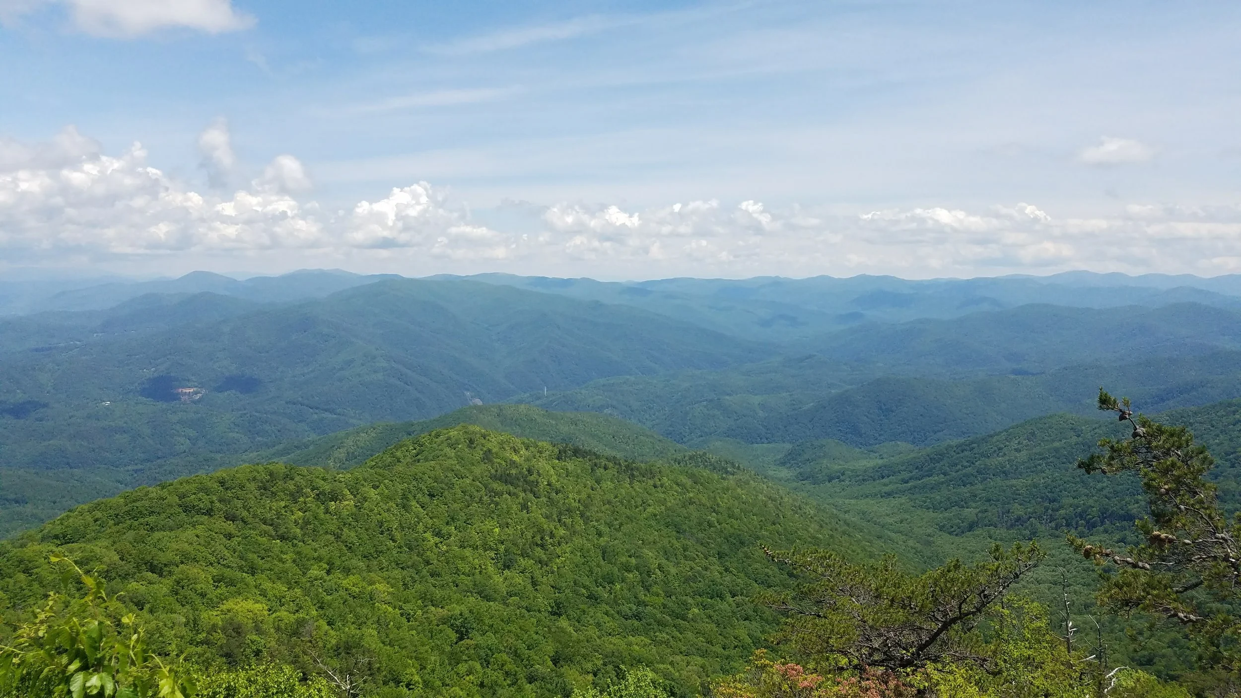 20170530_132100.jpg