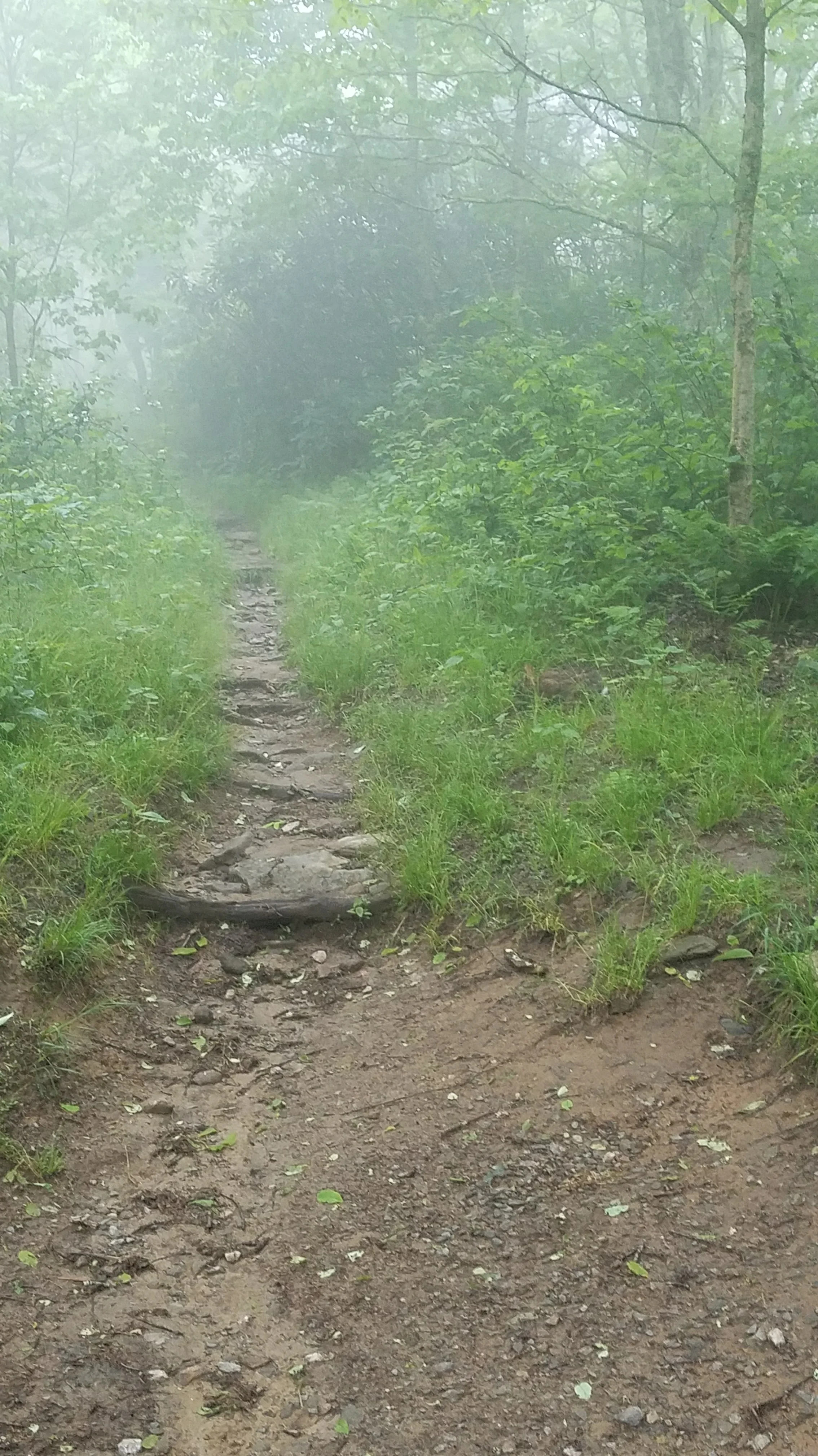 20170525_085444.jpg