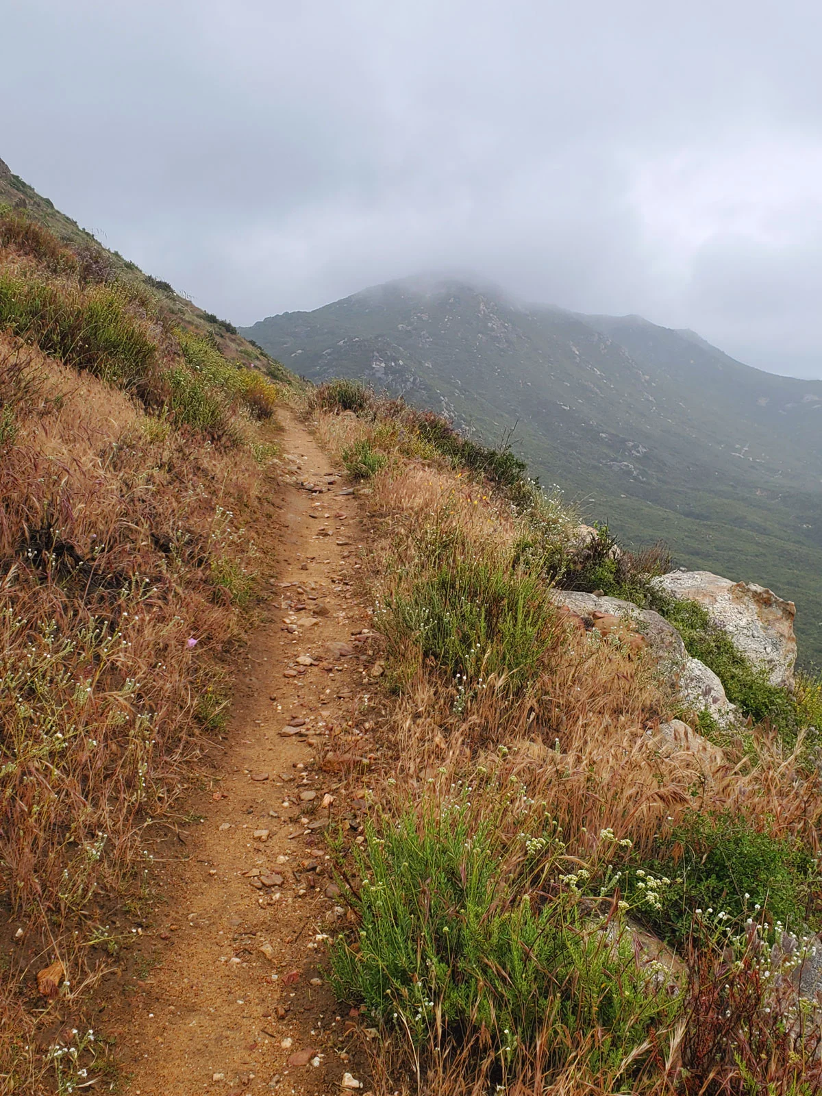 Pacific-Crest-Trail-Foggy-Trail.jpg