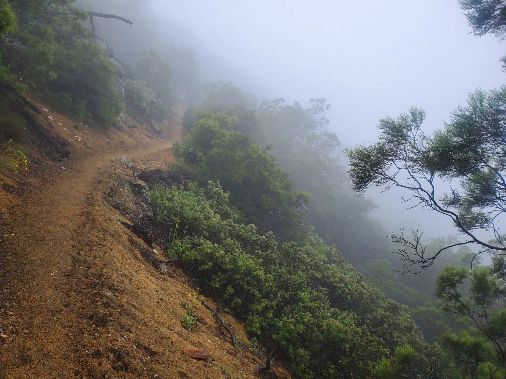 Pacific-Crest-Trail-Foggy.jpg