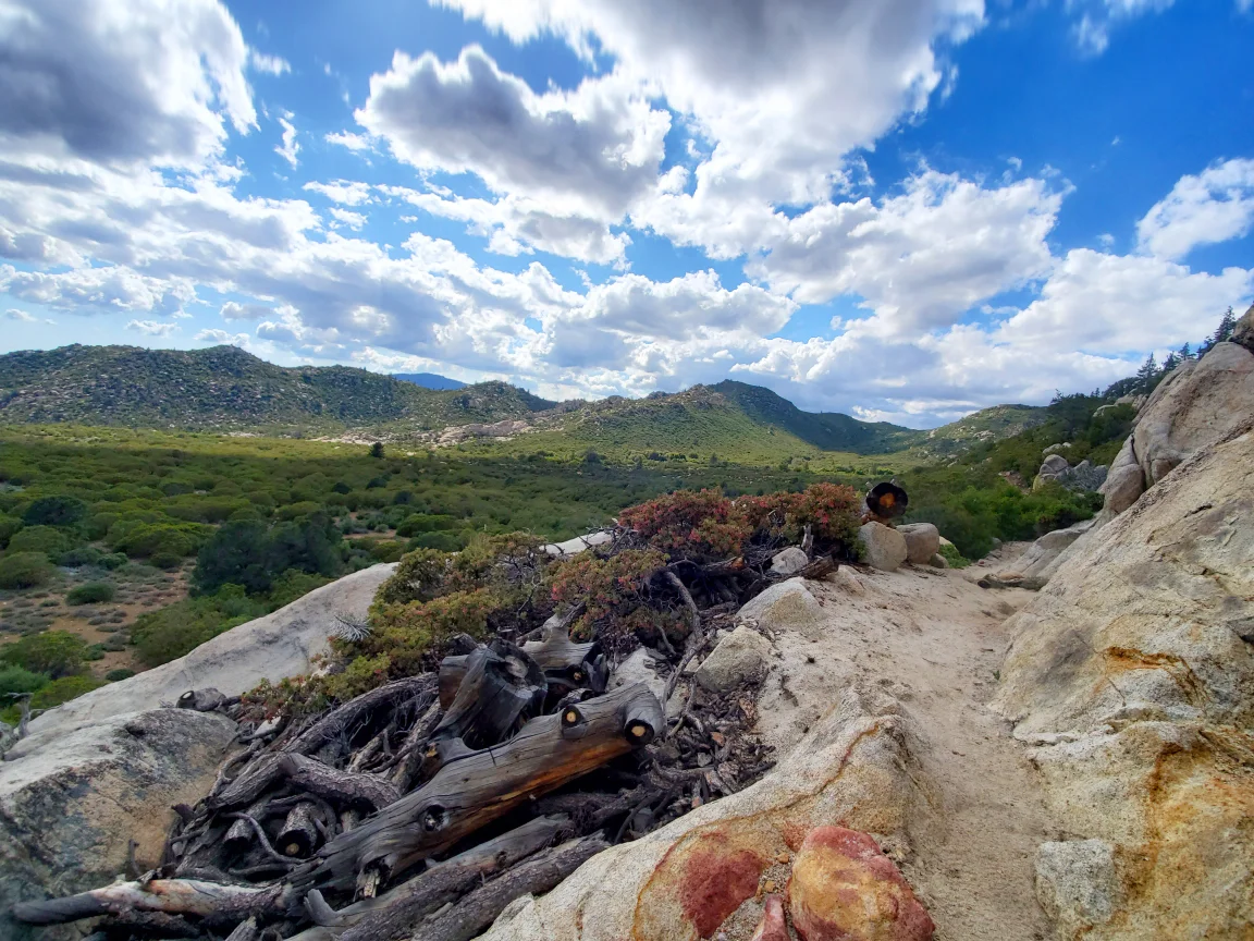 Pacific Crest Trail Grand Views.jpg
