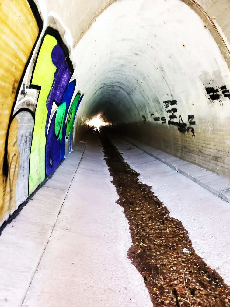 PCT-21-Tunnel.jpg