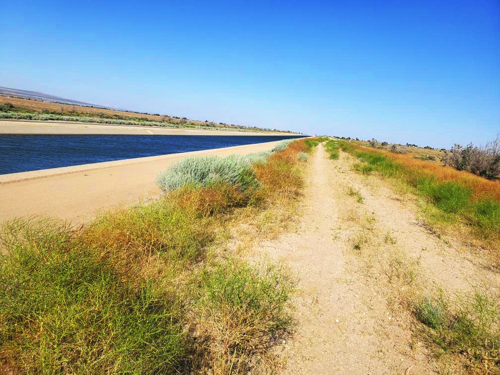 PCT-Day-22-Pathway-on-the-Desert.jpg