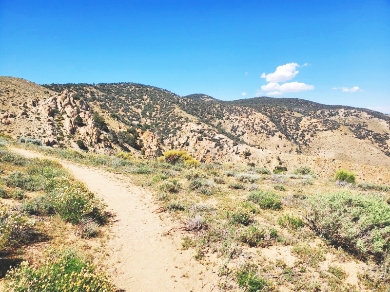 PCT-Day-26-Desert-Views.jpg