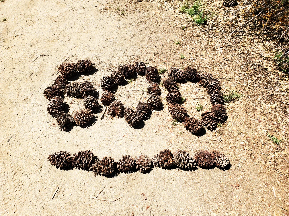 PCT-Day-27-600-Miles.jpg