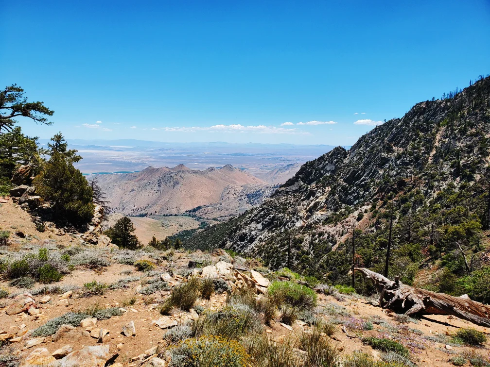 PCT-Day-30-Trail-Views.jpg