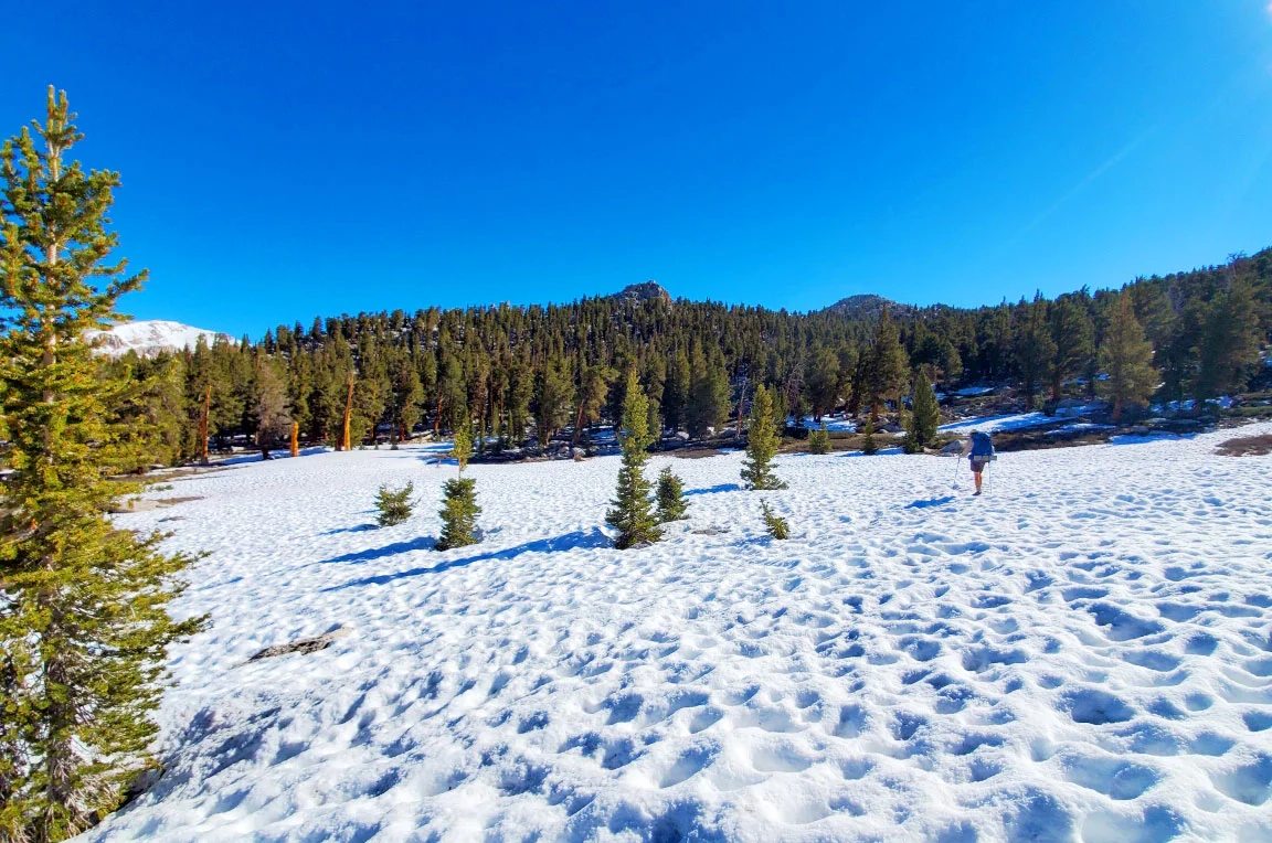 PCT-Day-34-Snowfall.jpg