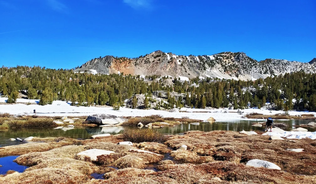 PCT-Day-44-Snowy-Moutains.jpg