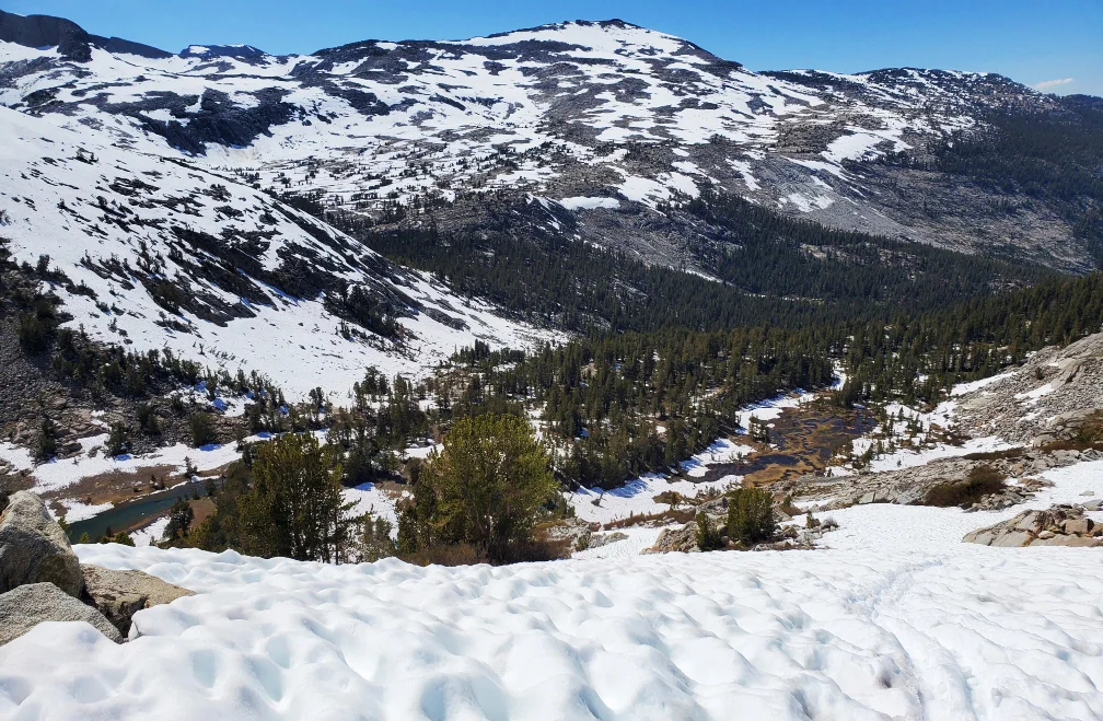 PCT-Day-45-Moutain-Trail.jpg