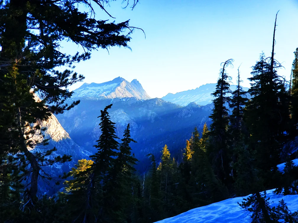 PCT-Day-47-Sunshine-Through-the-Woods.jpg