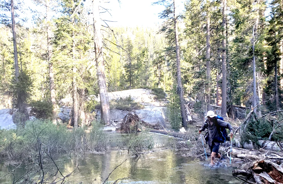 PCT-Day-27-Stream-Crossing.jpg