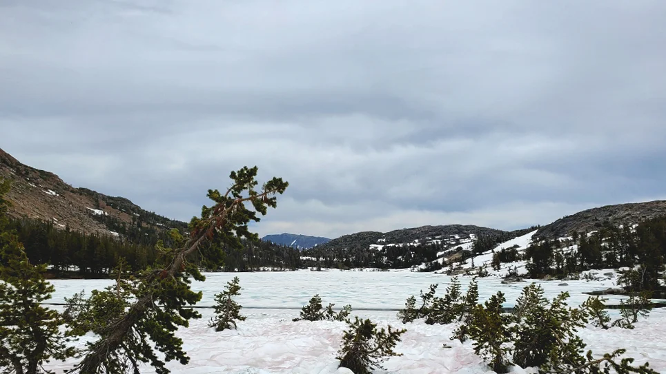 PCT-Day-48-Snow-View.jpg