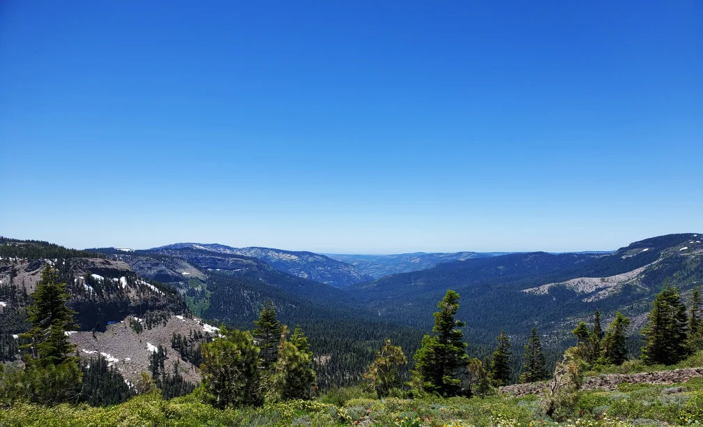 PCT-Day-54-Green-Hills.jpg