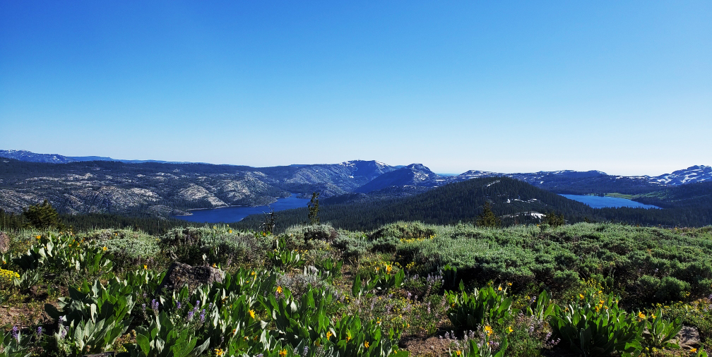 PCT-Day-54-Mountains.jpg