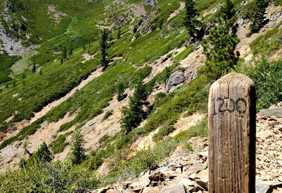 PCT-Day-56-1200-Miles.jpg