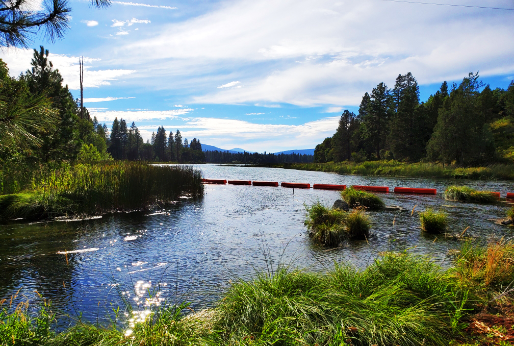 PCT-Day-62-Lake.jpg
