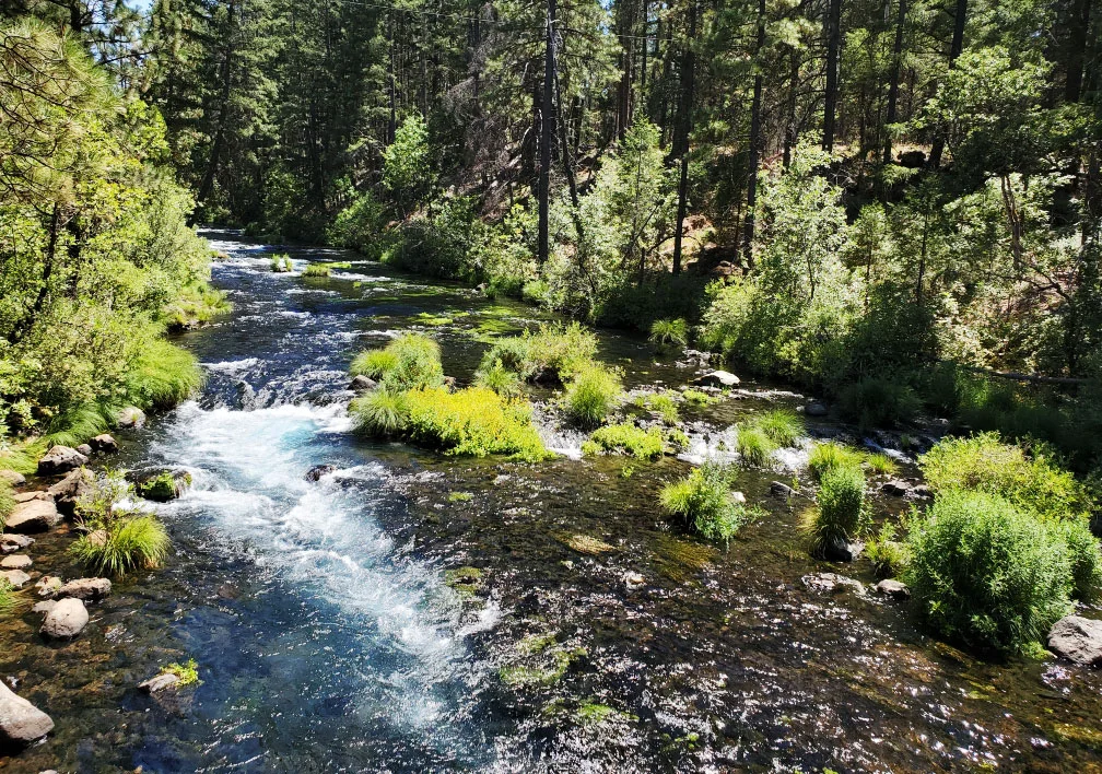 PCT-Day-63-Stream-Crossing.jpg