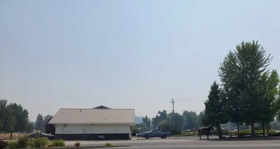 PCT-Day-68-Horse-in-Parking.jpg