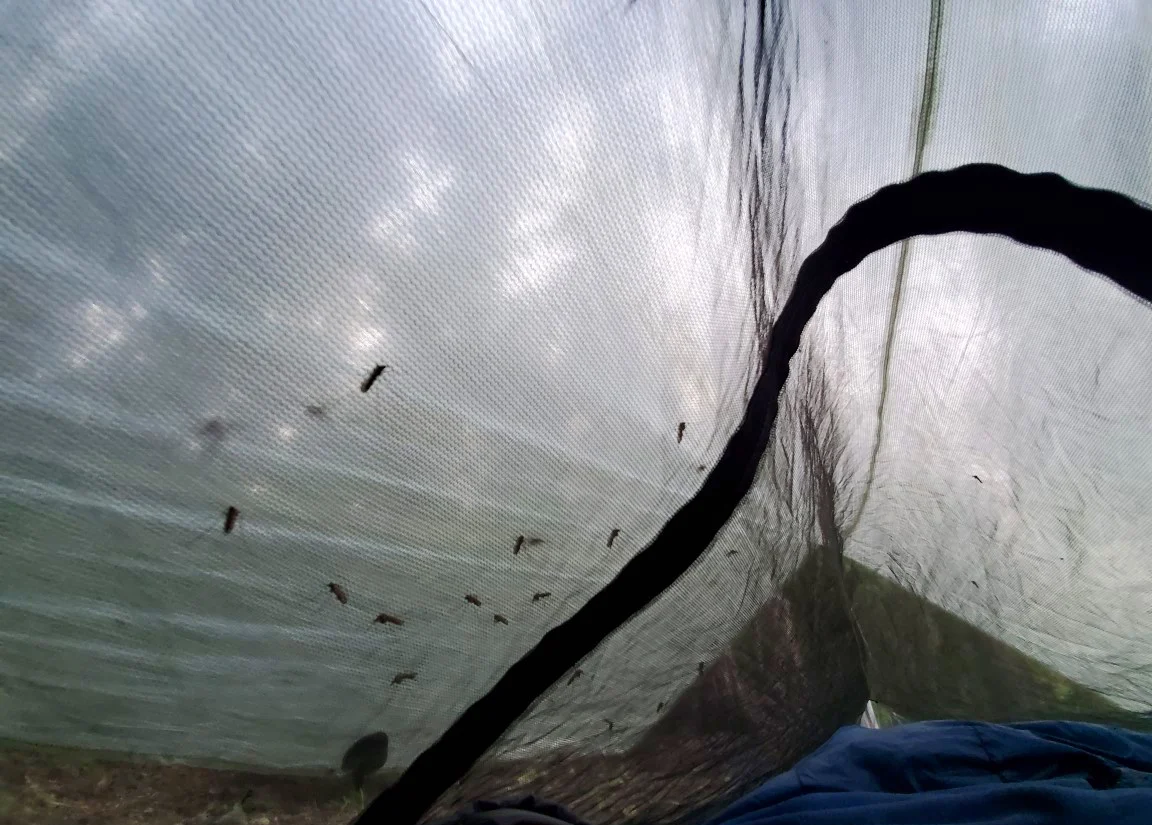 PCT-Day-70-Tent.jpg