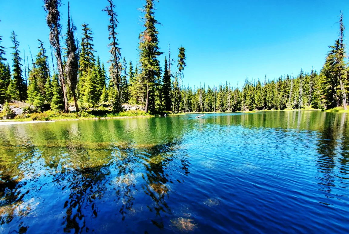 pct-day-72-lake-views.jpg