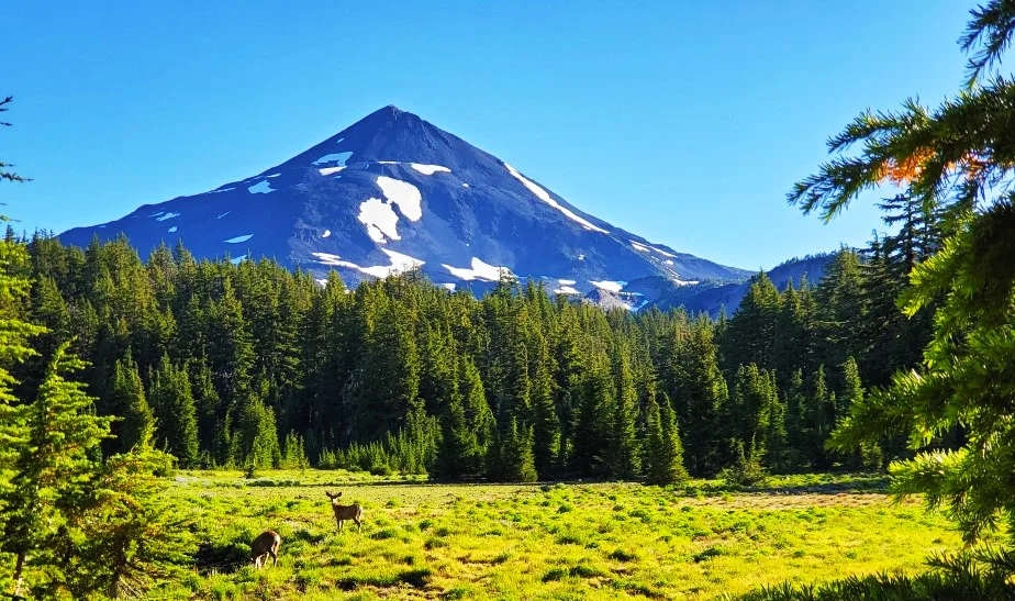 pct-day-73-mountain-view-of-washington.jpg