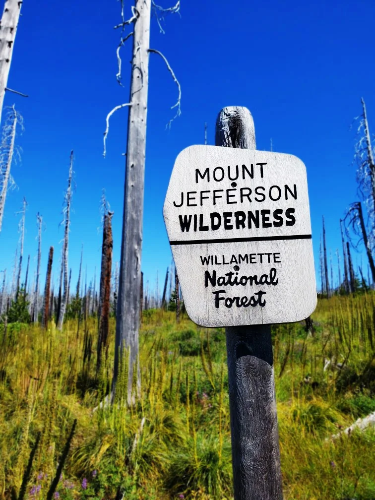 pct-day-74-mount-jefferson-wilderness.jpg