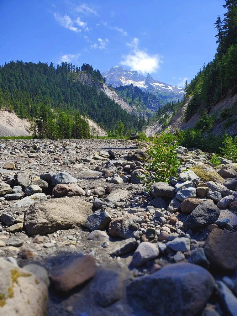 pct-day-77-creek-bed-looking-at-mountain.jpg