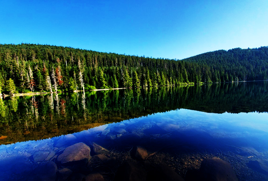 pct-day-78-pond-side.jpg
