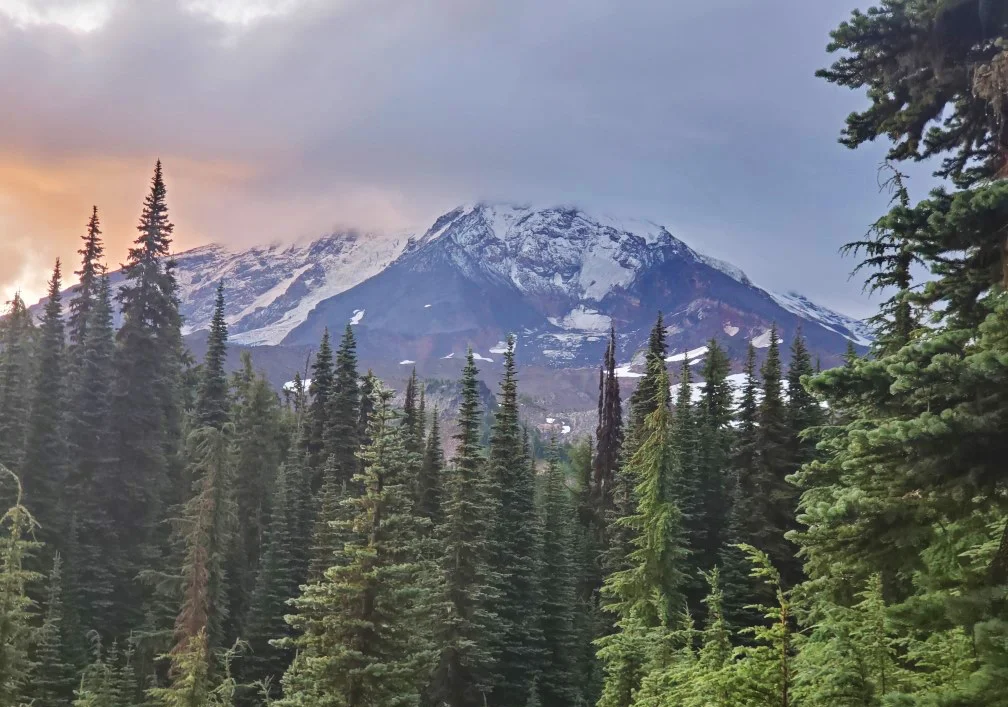 pct-day-82-mountains.jpg