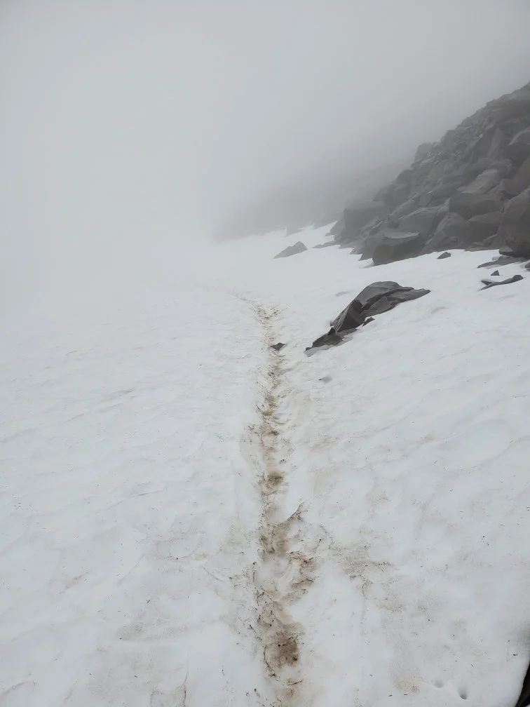pct-day-83-snow-trail.jpg