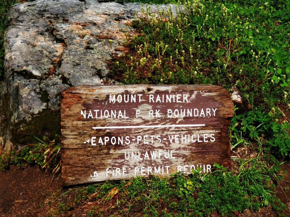 pct-day-84-mount-rainer-national-park.jpg