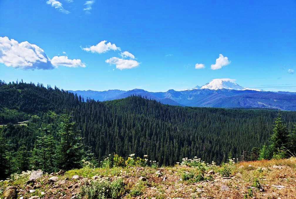 pct-day-85-mountain-view.jpg